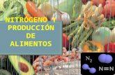 Nitrógeno y producción de alimentos. Nestar Luis Interiano Collins UPNFM Quimica Ambiental