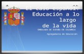 El caso Español: Educación a lo largo de la vida