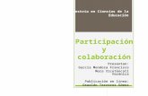 La participación y colaboración