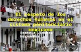 El respeto de los derechos humanos en el sistema penitenciario mexicano