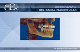 Bifurcacion del canal mandibular