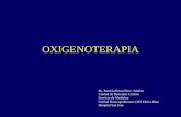 Oxigenoterapia 2004