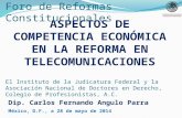 Presentación competencia económica_en_telecomunicaciones_judicatura