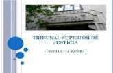 Tribunal Superior de Justicia y la Audiencia Provincial