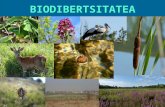 Ag21 biodibertsitatea
