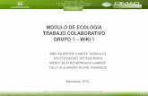 Trabajo ecologia momento colectivo wiki 1. MDSMA
