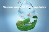 Valoración de los humedales, Convenio Ramsar, Sede Ramsar en Panama