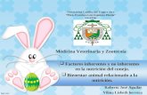 Factores inherentes y no inherente en la nutrición del conejo