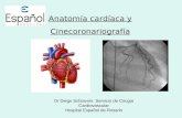 Anatomia cardiaca y ccg