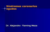 Síndrome Coronario Agudo Dr. Alejandro Fleming