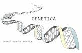 Genetica pawer