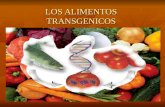 Los Alimentos Transgenicos