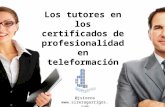 Los tutores en los certificados de profesionalidad en teleformación