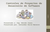 Controles a proyectos de desarrollo de Software