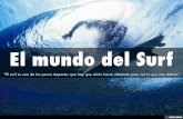 El mundo del Surf