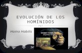 Evolución Hominidos (homo háblilis) deJose Antonio Mohedano