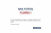 020 MIS FOTOS - FLORES I