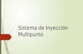 Sistema de Inyección Multipunto