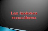 Lesiones musculares (Marcos, Pablo, Marcos B. 2º B)