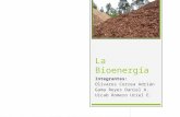 Presentacion - Bioenergia Grupo 467, Equipo 8