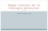 Dogma central de la biología molecular