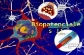 Biopotenciales II