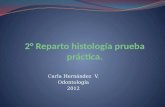 2° reparto histología prueba práctica