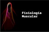 Fisiología muscular