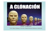 31 clonacion
