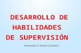 Habilidades de-supervisin-1200759275298600-2