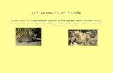 LOS ANIMALES DE LA PENÍNSULA