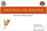 Gestión de riesgo financiero Pr. Alfredo Morgado S.