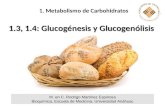 Clase glucógeno