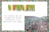 El Tablero   Camino De Santa Catalina Montaña De Jagua y Barranco del Chorrillo