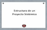 Estructura de Proyectos Sistémicos