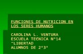 Funciones de nutricion en los seres humanos - Carolina Leticia Ventura