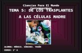 De Los Transplantes A Las CéLulas Madre.Doc