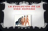 La evolución de la vida humana