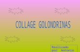 Collage Golondrinas