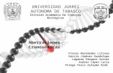 Presentacion aberraciones cromosomicas