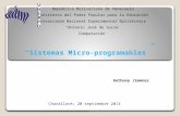 Sistema microprogramables