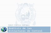 Cap 02.1   analisis de las estructuras de control(1)