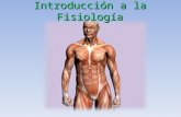Introduccion fisiologia