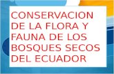 Conservacion de la flora y fauna de los bosques del Ecuador