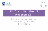 Evaluación fetal antenatal