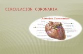 Circulaci³n coronaria