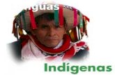 Lenguas indigenas 6º