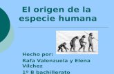 El origen de la especie humana