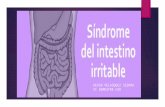 Síndrome de Intestino Irritable