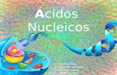 Presentacion para quimica: Acidos Nucleicos